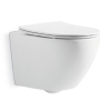 Devit DUN30201111W Universal Подвесной безобедочный унитаз с крышкой soft-close и Vortex Flush, белый Купить Devit DUN30201111W Universal Подвесной безобедочный унитаз с крышкой soft-close и Vortex Flush, белый в Киеве vannaja.kiev.ua