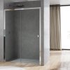 Купити душові двері в нішу розсувні 120 см Ronal D20S21204007 Arelia Одностворчаті з фіксованою стінкою в одній лінії, скло прозоре, профіль срібний блиск в Києві vannaja.kiev.ua