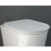 Купить с микролифтом сиденья унитаза RAK Valet VALSC3901500 Крышка Soft Close, белая матовая в Киеве vannaja.kiev.ua