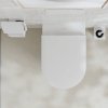 Купить Сидение hansgrohe 60148450 EluPura S Крышка для унитаза soft-close, top fix, белый в Киеве vannaja.kiev.ua