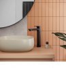 Купить Черный матовый 5532-612-81 Смеситель для умывальника KFA ARMATURA MOKAIT BLACK отдельностоящий с донным клапаном высокий однорычажный купить в Киеве vannaja.kiev.ua