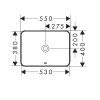 Раковина hansgrohe 60158450 Xuniva Q прямокутна врізна з переливом, 550 x 400 мм, білий Купити Раковина hansgrohe 60158450 Xuniva Q прямокутна врізна з переливом, 550 x 400 мм, білий в Києві vannaja.kiev.ua