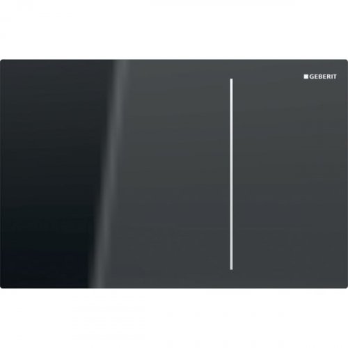 Купить 115.620.JK.1 кнопка geberit скрытого монтажа 115620JK1 Sigma70 двойного смыва для бачка скрытого Sigma в Киеве vannaja.kiev.ua