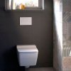 Купить 115.883.01.1 Geberit Sigma30 двойная клавиша смыва 115883011 белая матовая кнопка, полоска - белая в Киеве vannaja.kiev.ua