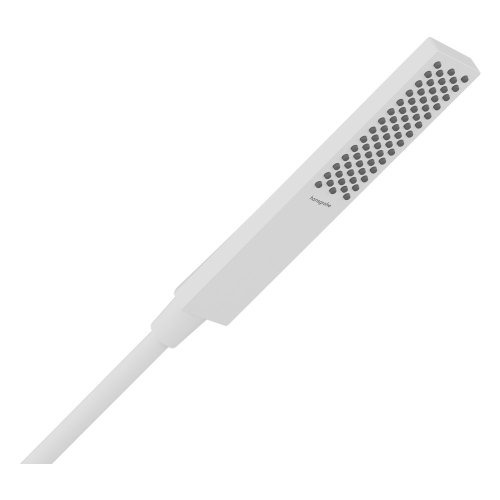 Купити Ручний душ Hansgrohe Pulsify E 100 1jet EcoSmart, Matt White (24320700) в Києві vannaja.kiev.ua