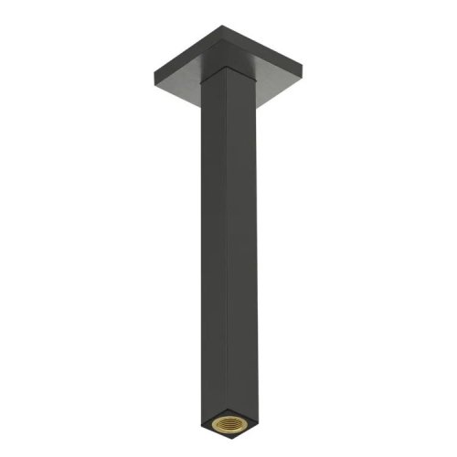 Держатель верхнего душа Hansgrohe с потолка E 300 мм, Brushed Black Chrome (24339340) Купить Держатель верхнего душа Hansgrohe с потолка E 300 мм, Brushed Black Chrome (24339340) в Киеве vannaja.kiev.ua