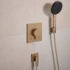 Купить Ручной душ Hansgrohe Raindance Alive Select S 3jet, Brushed Bronze (24500140) в Киеве vannaja.kiev.ua