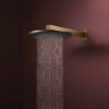 Купить бронзовый верхний душ Hansgrohe 24520140 Raindance Alive S большая лейка 300 мм режим 1jet, Brushed Bronze в Киеве vannaja.kiev.ua