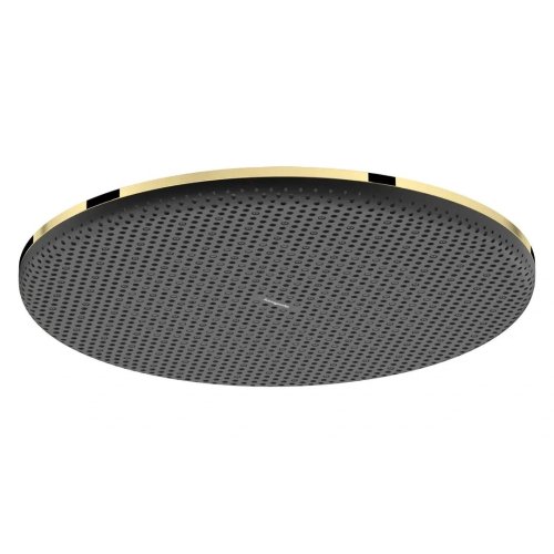 Верхний душ Hansgrohe Raindance Alive S 300 1jet, Polished Gold Optic (24520990) Купить Верхний душ Hansgrohe Raindance Alive S 300 1jet, Polished Gold Optic (24520990) в Киеве vannaja.kiev.ua