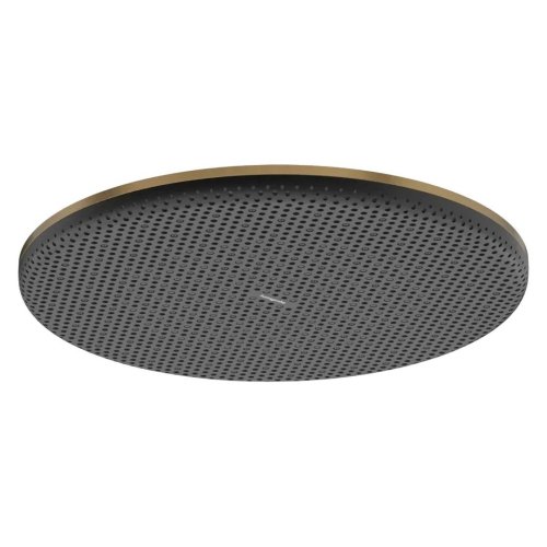Верхний душ Hansgrohe Raindance Alive S 300 1jet EcoSmart, Brushed Bronze (24521140) Купить Верхний душ Hansgrohe Raindance Alive S 300 1jet EcoSmart, Brushed Bronze (24521140) в Киеве vannaja.kiev.ua