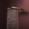 Верхний душ Hansgrohe Raindance Alive S 300 2jet с держателем, Brushed Bronze (24540140) Купить Верхний душ Hansgrohe Raindance Alive S 300 2jet с держателем, Brushed Bronze (24540140) в Киеве vannaja.kiev.ua