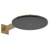 Верхний душ Hansgrohe Raindance Alive S 300 2jet EcoSmart с держателем, Brushed Bronze (24541140) Купить Верхний душ Hansgrohe Raindance Alive S 300 2jet EcoSmart с держателем, Brushed Bronze (24541140) в Киеве vannaja.kiev.ua