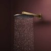 Верхний душ Hansgrohe Raindance Alive S 300 2jet EcoSmart с держателем, Brushed Bronze (24541140) Купить Верхний душ Hansgrohe Raindance Alive S 300 2jet EcoSmart с держателем, Brushed Bronze (24541140) в Киеве vannaja.kiev.ua