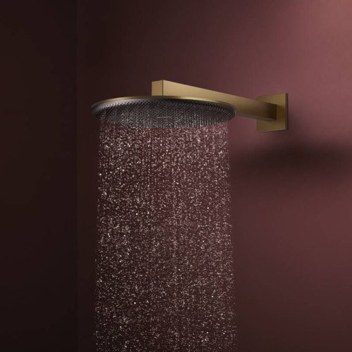 Верхний душ Hansgrohe Raindance Alive S 300 2jet EcoSmart с держателем, Brushed Bronze (24541140) Купить Верхний душ Hansgrohe Raindance Alive S 300 2jet EcoSmart с держателем, Brushed Bronze (24541140) в Киеве vannaja.kiev.ua