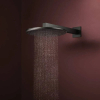 Купить Верхний душ Hansgrohe Raindance Alive S 300 2jet EcoSmart с держателем, Matt Black (24541670) в Киеве vannaja.kiev.ua