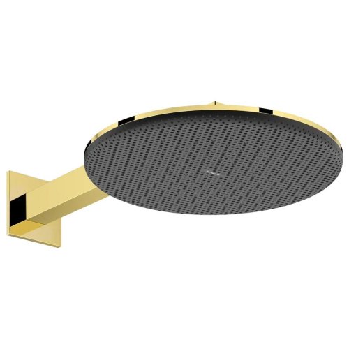 Верхний душ Hansgrohe Raindance Alive S 300 2jet EcoSmart с держателем, Polished Gold Optic (24541990) Купить Верхний душ Hansgrohe Raindance Alive S 300 2jet EcoSmart с держателем, Polished Gold Optic (24541990) в Киеве vannaja.kiev.ua