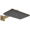 Верхний душ Hansgrohe Raindance Alive Q 340/210 2jet с держателем, Brushed Bronze (24550140) Купить Верхний душ Hansgrohe Raindance Alive Q 340/210 2jet с держателем, Brushed Bronze (24550140) в Киеве vannaja.kiev.ua