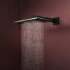Верхний душ Hansgrohe Raindance Alive Q 340/210 2jet с держателем, Matt Black (24550670) Купить Верхний душ Hansgrohe Raindance Alive Q 340/210 2jet с держателем, Matt Black (24550670) в Киеве vannaja.kiev.ua