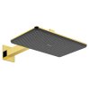 Верхний душ Hansgrohe Raindance Alive Q 340/210 2jet с держателем, Polished Gold Optic (24550990) Купить Верхний душ Hansgrohe Raindance Alive Q 340/210 2jet с держателем, Polished Gold Optic (24550990) в Киеве vannaja.kiev.ua