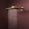Верхний душ Hansgrohe Raindance Alive Q 340/210 2jet с держателем, Polished Gold Optic (24550990) Купить Верхний душ Hansgrohe Raindance Alive Q 340/210 2jet с держателем, Polished Gold Optic (24550990) в Киеве vannaja.kiev.ua