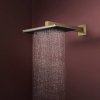 Верхний душ Hansgrohe Raindance Alive Q 340/210 2jet EcoSmart с держателем, Brushed Bronze (24551140) Купить Верхний душ Hansgrohe Raindance Alive Q 340/210 2jet EcoSmart с держателем, Brushed Bronze (24551140) в Киеве vannaja.kiev.ua