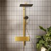 Душова система Hansgrohe Raindance Alive Q 340/210 2jet ShowerSelect Comfort, Polished Gold Optic (24590990) Купити Душова система Hansgrohe Raindance Alive Q 340/210 2jet ShowerSelect Comfort, Polished Gold Optic (24590990) в Києві vannaja.kiev.ua