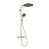 Купить Душевая система Hansgrohe Raindance Alive S Puro 300 1jet с Ecostat Element, Brushed Bronze (24592140) в Киеве vannaja.kiev.ua