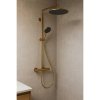 Купить Душевая система Hansgrohe Raindance Alive S Puro 300 1jet с Ecostat Element, Brushed Bronze (24592140) в Киеве vannaja.kiev.ua