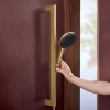Купить Душевой набор Hansgrohe Raindance Alive Select S 3Jet EcoSmart 65 см E, Brushed Bronze (24600140) в Киеве vannaja.kiev.ua