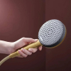 Купить Душевой набор Hansgrohe Raindance Alive Select S 3jet EcoSmart 90 см S, Brushed Bronze (24603140) в Киеве vannaja.kiev.ua
