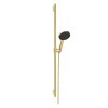 Душевой набор Hansgrohe Raindance Alive Select S 3jet EcoSmart 90 см S, Polished Gold Optic (24603990) Купить Душевой набор Hansgrohe Raindance Alive Select S 3jet EcoSmart 90 см S, Polished Gold Optic (24603990) в Киеве vannaja.kiev.ua