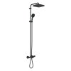 Купить Душевая система Grohe Tempesta System 250 Cube, настенного монтажа с термостатом для ванны, черный матовый (266912431) в Киеве vannaja.kiev.ua
