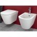 Купить Купить 458.126.00.1+REWC0002+RESC0003 Комплект инсталляции Geberit Duofix 458.126.00.1 + унитаз белый подвесной RAK Ceramics Resort Rimles REWC0002 с сидением Soft Close RESC0003 в Киеве vannaja.kiev.ua