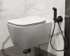 Купити гігієнічний душ вбудованого монтажу Hansgrohe в комплекті чорного матового кольору (прихована частина та зовнішній елемент) набір для біде Bidette S 29232670 + 29235180 в Києві vannaja.kiev.ua