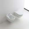 Купить Kerasan 371401 + 379101 Aquatech Унитаз подвесной безободковый 55х36.5см с сиденьем микролифт quick-release 3714 01, 3791 01 в Киеве vannaja.kiev.ua
