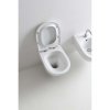 Купить Kerasan 371401 + 379101 Aquatech Унитаз подвесной безободковый 55х36.5см с сиденьем микролифт quick-release 3714 01, 3791 01 в Киеве vannaja.kiev.ua