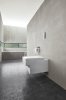 Купить Клавиша смыва S-размер Grohe Skate Cosmopolitan S 37535000 в Киеве vannaja.kiev.ua