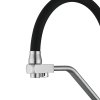 Купить Смеситель для кухни Lidz Aria 020F3 с гибким изливом с подключением для питьевой воды (k35) LDARI020F3BNK37647 BNK в Киеве vannaja.kiev.ua
