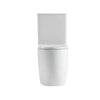 Унитаз напольный Qtap Robin New Ultra Quiet безободковый с сиденьем Soft-Close WHITE QT13226083AW Купить Унитаз напольный Qtap Robin New Ultra Quiet безободковый с сиденьем Soft-Close WHITE QT13226083AW в Киеве vannaja.kiev.ua