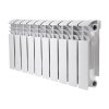 Радіатор біметалічний Thermo Alliance Bi-Ferrum 300/100 1,15 кг Купити Радіатор біметалічний Thermo Alliance Bi-Ferrum 300/100 1,15 кг в Києві vannaja.kiev.ua