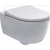Купить Крышка для унитаза Geberit 500.670.01.1 антибактериальное iCon Soft-close 500670011 в Киеве vannaja.kiev.ua