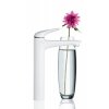 Білі високі Змішувачі для раковини Grohe Eurostyle XL-Size 23570LS3 Купити Білі високі Змішувачі для раковини Grohe Eurostyle XL-Size 23570LS3 в Києві vannaja.kiev.ua