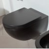 Подвесной безободковый унитаз Flaminia APP goclean AP118G NERO MATT GRAPHITE Купить Подвесной безободковый унитаз Flaminia APP goclean AP118G NERO MATT GRAPHITE в Киеве vannaja.kiev.ua