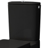 Бачок унитаза Artceram File 2.0, black glossy (FLC001 03; 00) Купить Бачок унитаза Artceram File 2.0, black glossy (FLC001 03; 00) в Киеве vannaja.kiev.ua