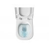 Купить ROCA A89009000R унитаза и инсталляцией Система 2 в 1 Roca Pro и крышкой из дюропласта и функцией SoftClose в Киеве vannaja.kiev.ua