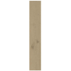 Керамогранит Atlas Concorde Entice Ash Oak Natural 20x120 Matt 9mm (A840) Купить Керамогранит Atlas Concorde Entice Ash Oak Natural 20x120 Matt 9mm (A840) в Киеве vannaja.kiev.ua