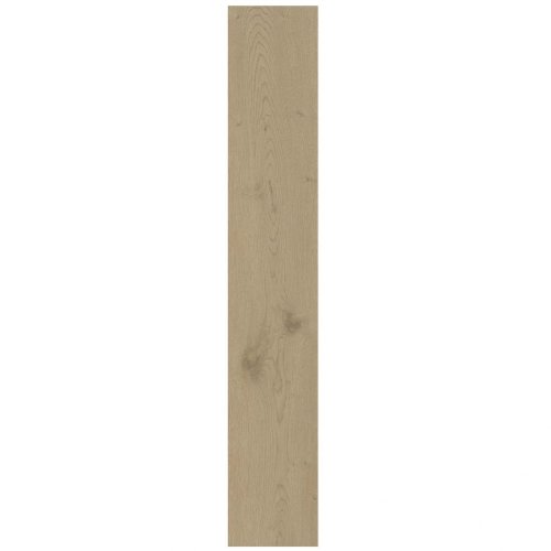 Керамогранит Atlas Concorde Entice Ash Oak Natural 20x120 Matt 9mm (A840) Купить Керамогранит Atlas Concorde Entice Ash Oak Natural 20x120 Matt 9mm (A840) в Киеве vannaja.kiev.ua