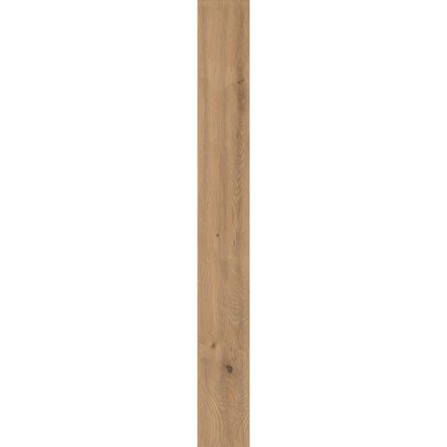 Керамогранит Atlas Concorde Log Icon Oak 20x180 Matt 9,5mm (AX5T) Купить Керамогранит Atlas Concorde Log Icon Oak 20x180 Matt 9,5mm (AX5T) в Киеве vannaja.kiev.ua
