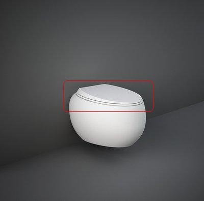 Кришка для унітазу CLOSC3901500 RAK CLOUD біла матова Duroplast SLIM Soft Close Quick Release Купити Кришка для унітазу CLOSC3901500 RAK CLOUD біла матова Duroplast SLIM Soft Close Quick Release в Києві vannaja.kiev.ua