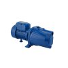 Насос поверхностный Forwater Premium JET 100L 1,1 кВт Купить Насос поверхностный Forwater Premium JET 100L 1,1 кВт в Киеве vannaja.kiev.ua